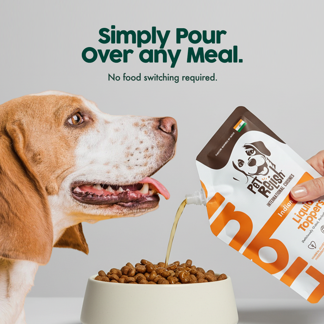 Pet Relish™ Indian Flavor – Liquid Dog Food Topper