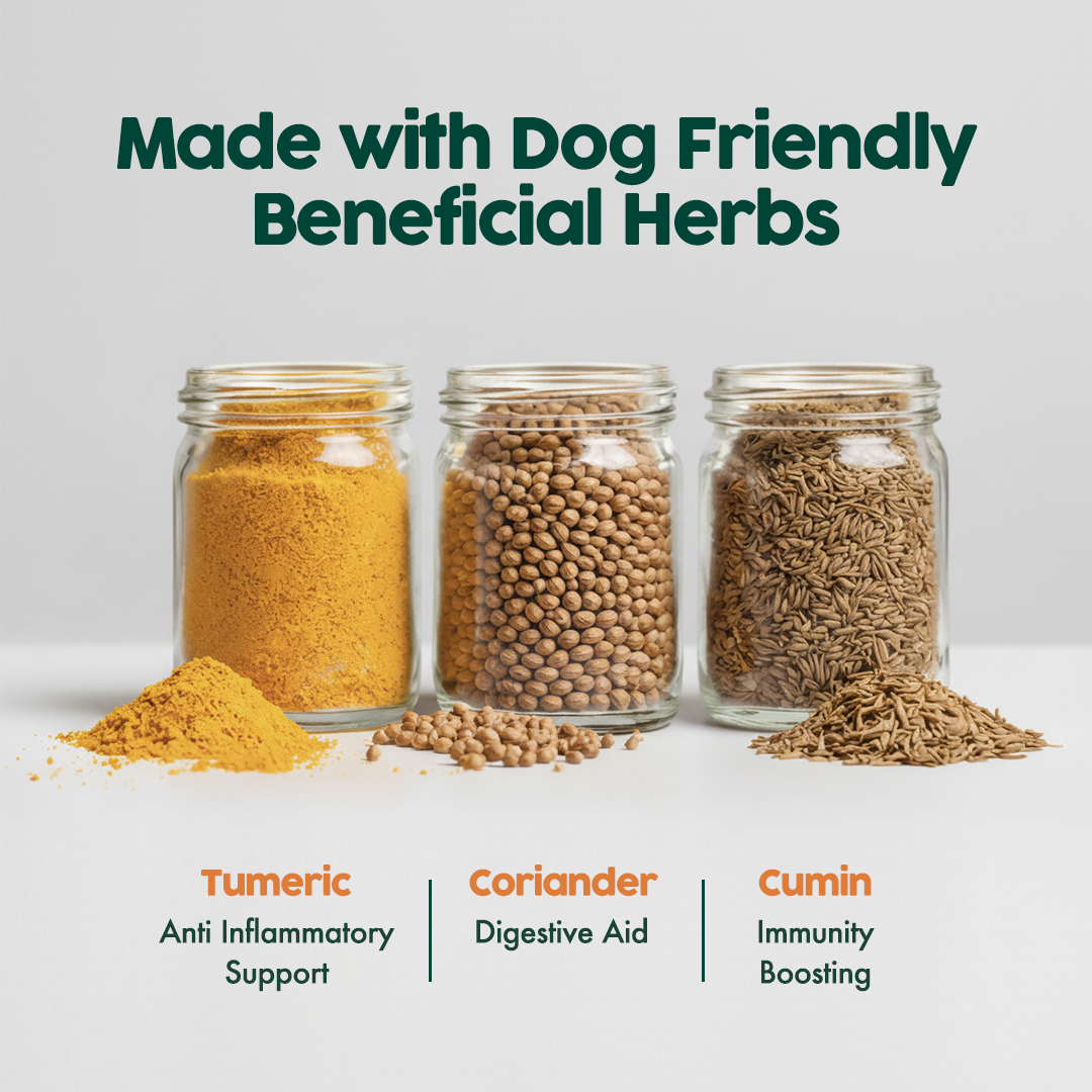 Pet Relish™ Indian Flavor – Liquid Dog Food Topper